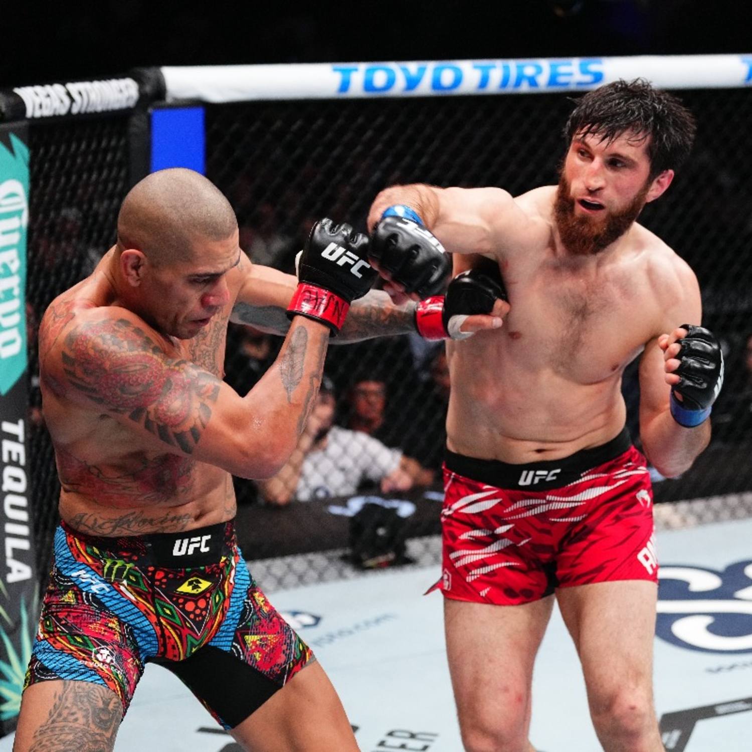 Ankalaev golpea a Pereira en el UFC 313.