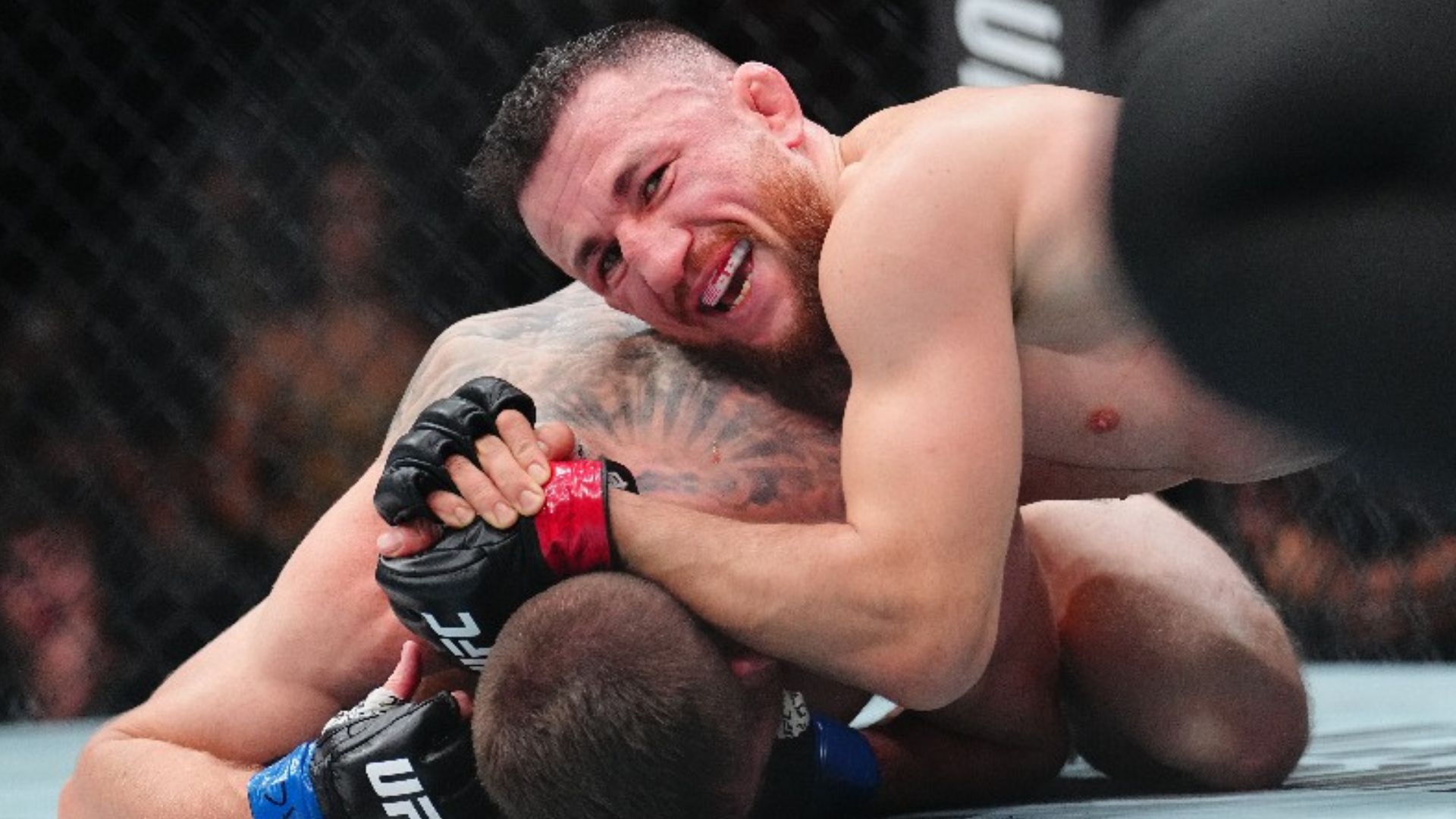 UFC 320: Merab Dvalishvili vs Cory Sandhagen